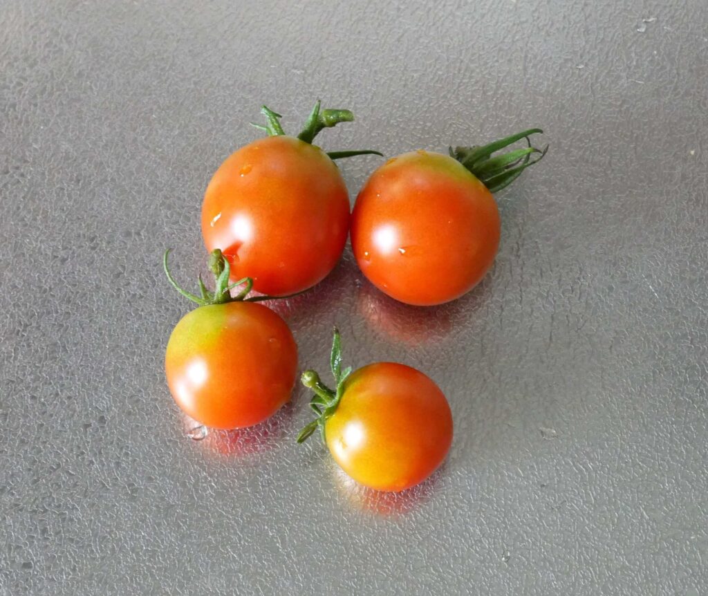 cherry-tomatoes