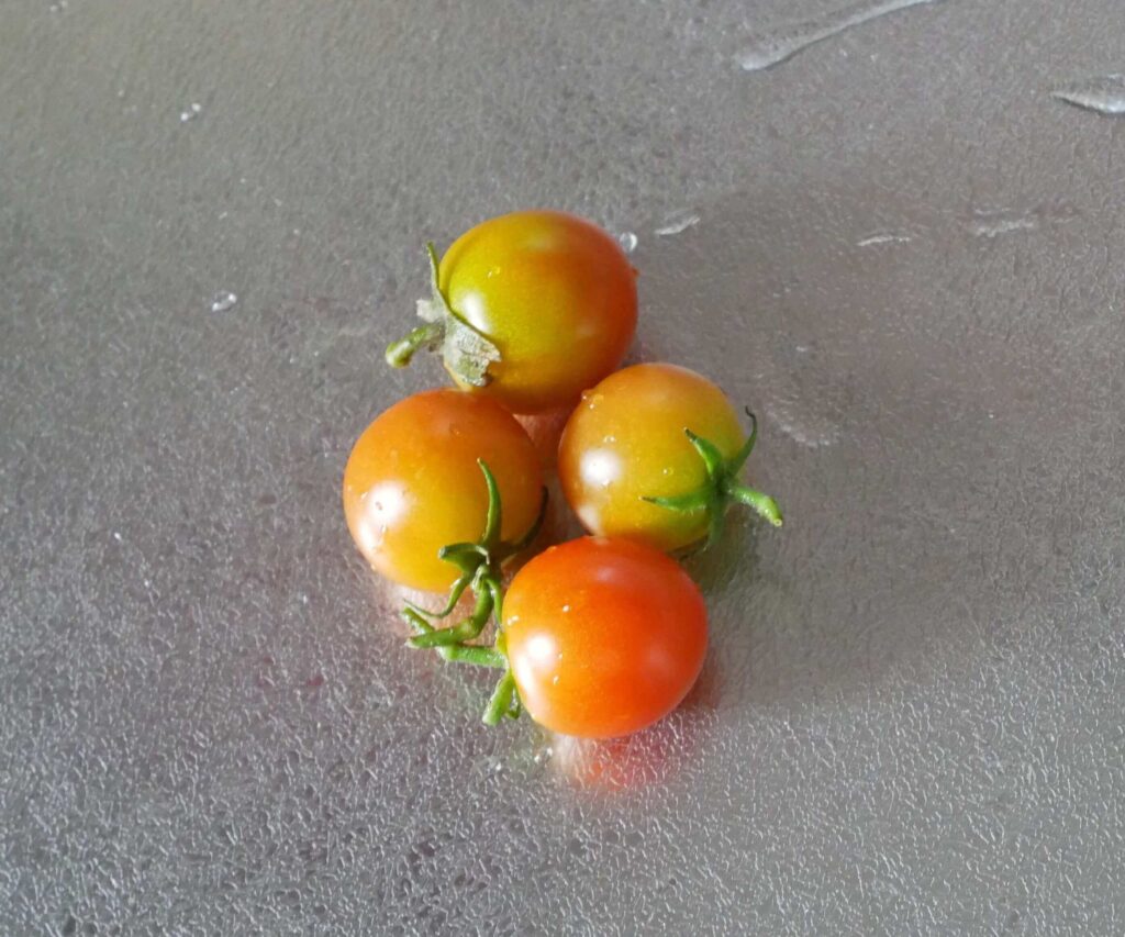 cherry-tomatoes