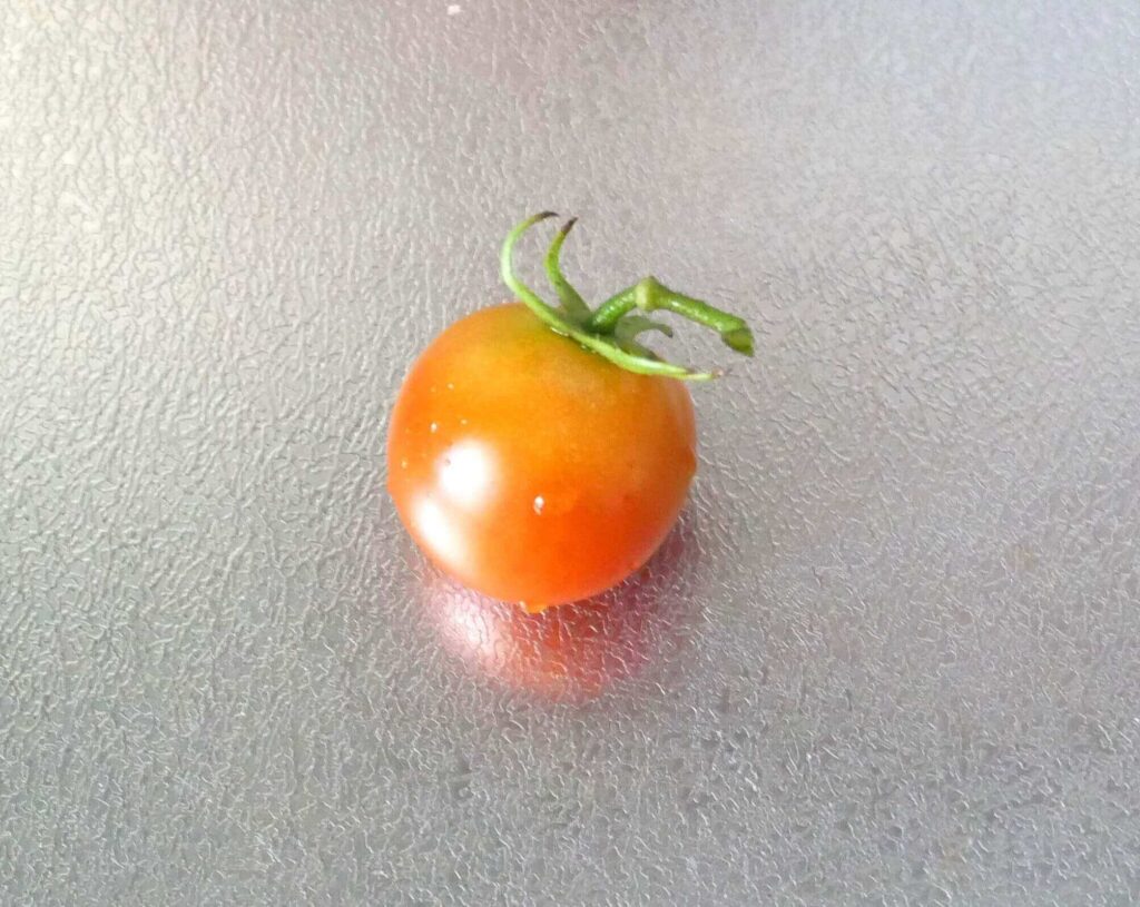 cherry-tomatoes