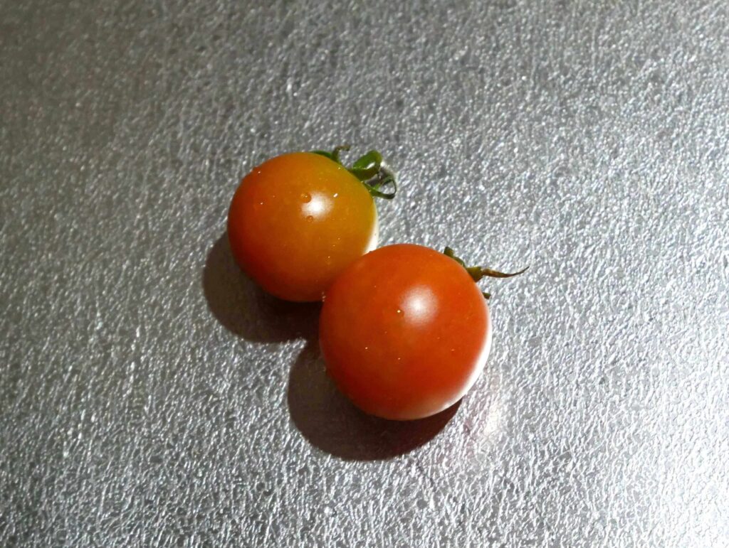 cherry-tomatoes