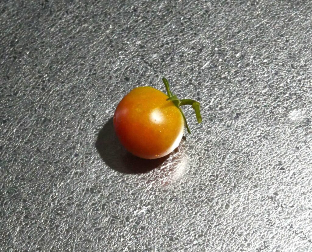 cherry-tomatoes