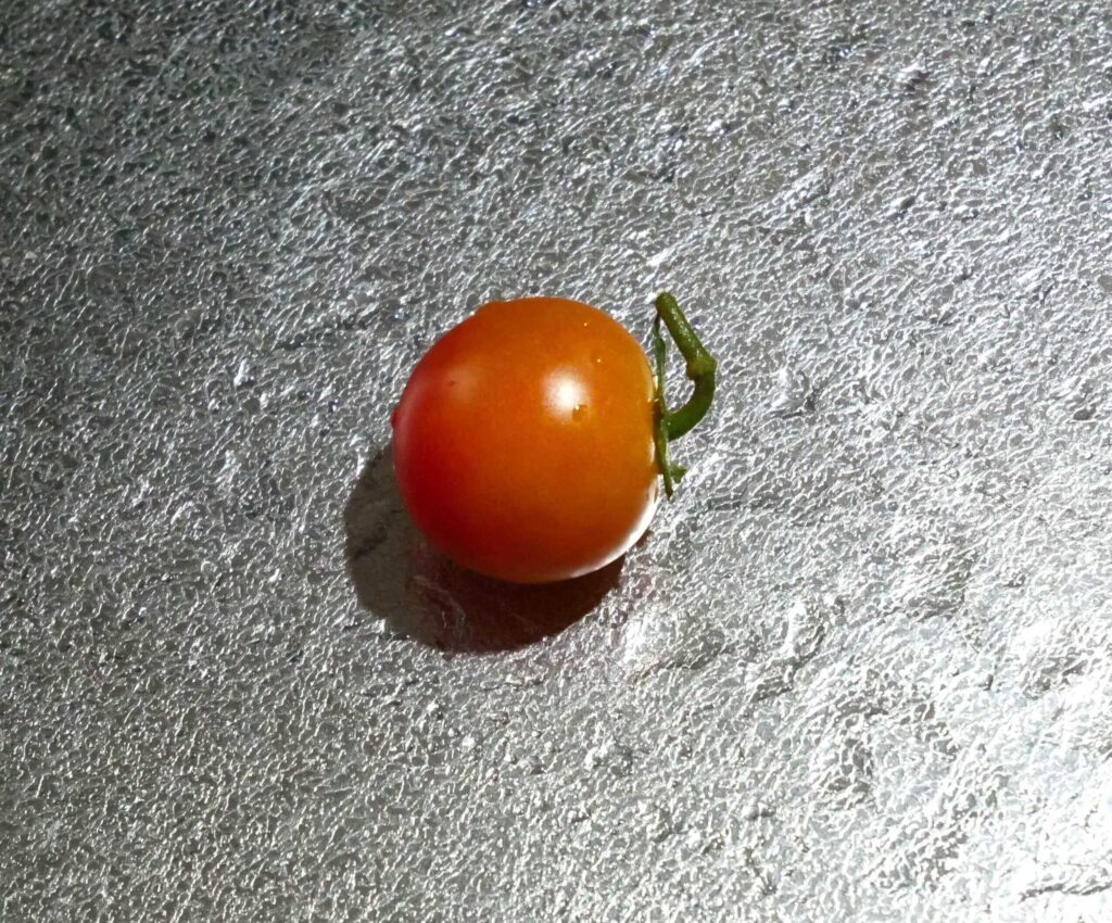 cherry-tomatoes