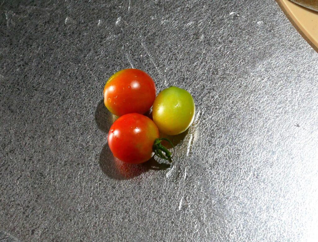 cherry-tomatoes