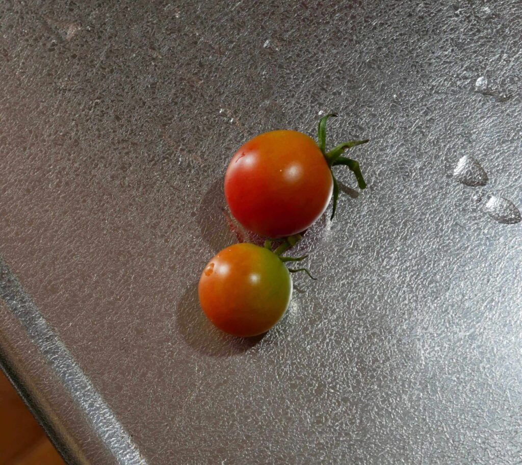 cherry-tomatoes