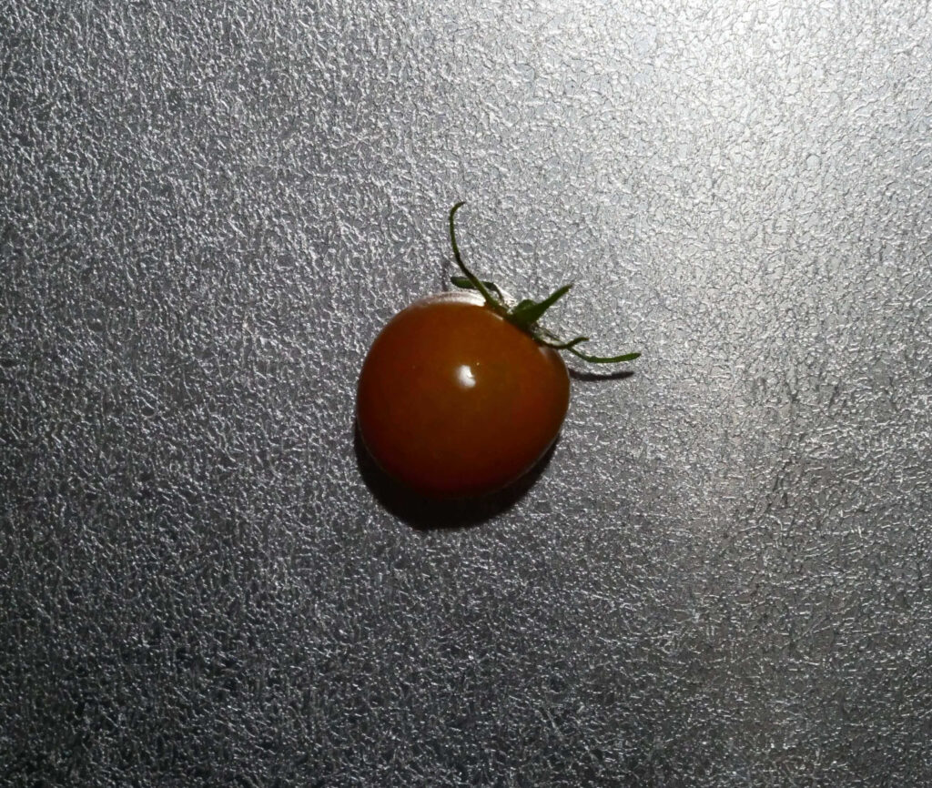 cherry-tomatoes