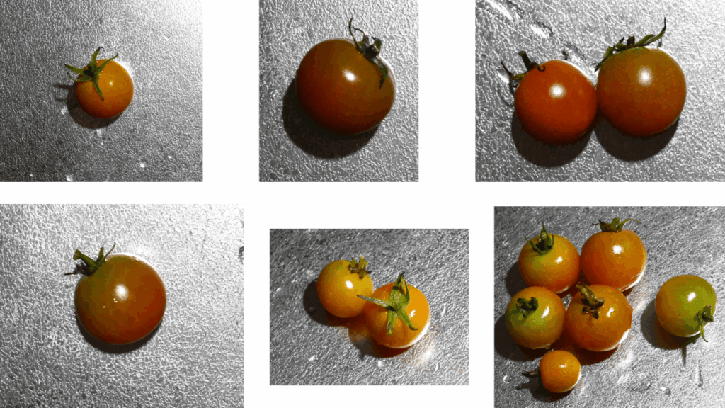 cherry-tomatoes