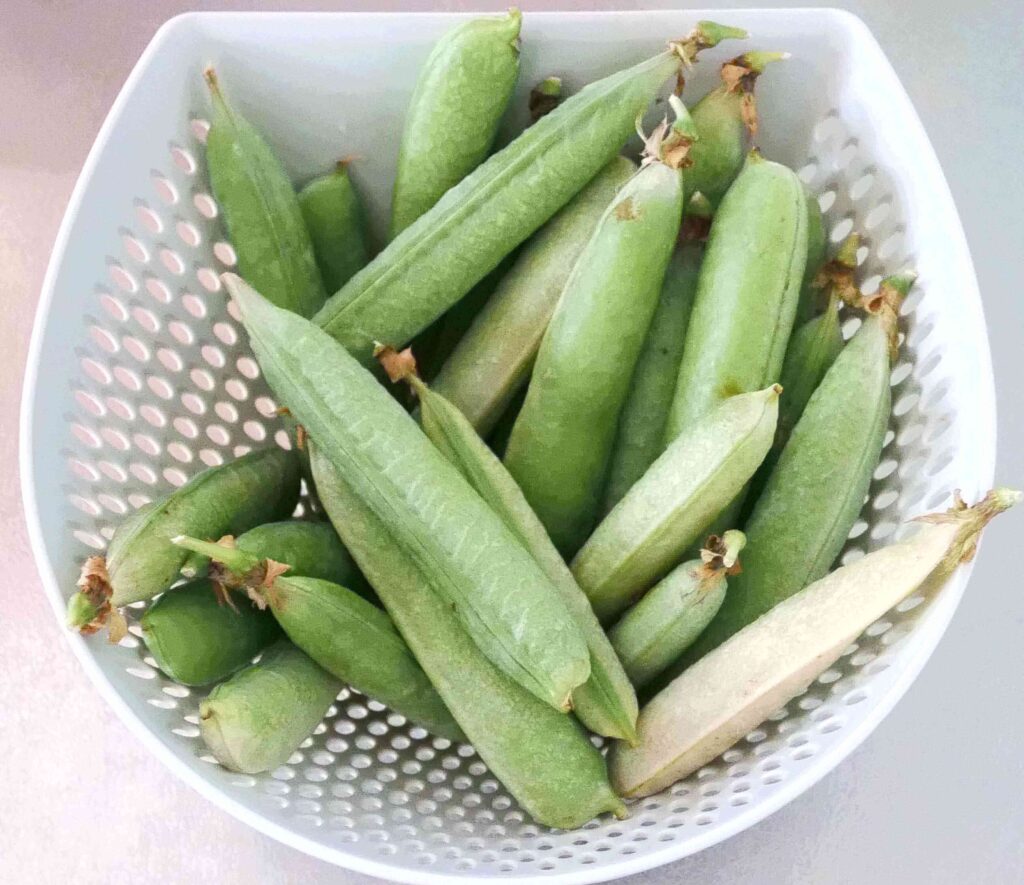 green-peas