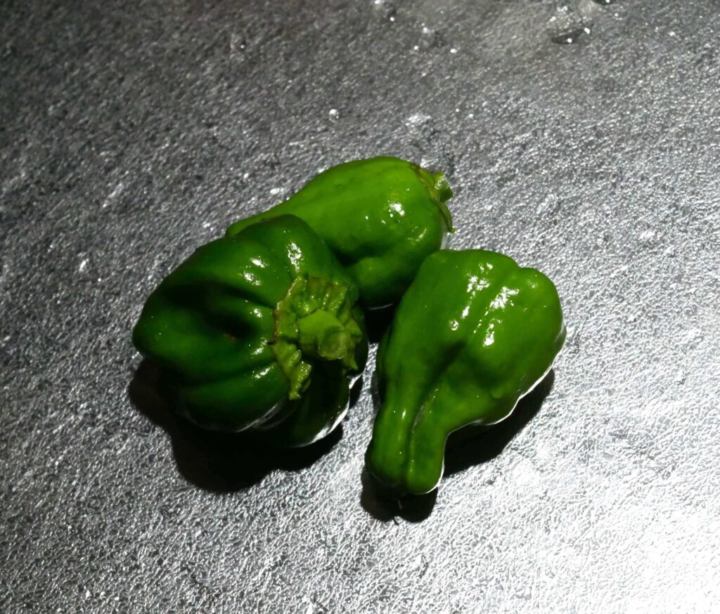 green-pepper