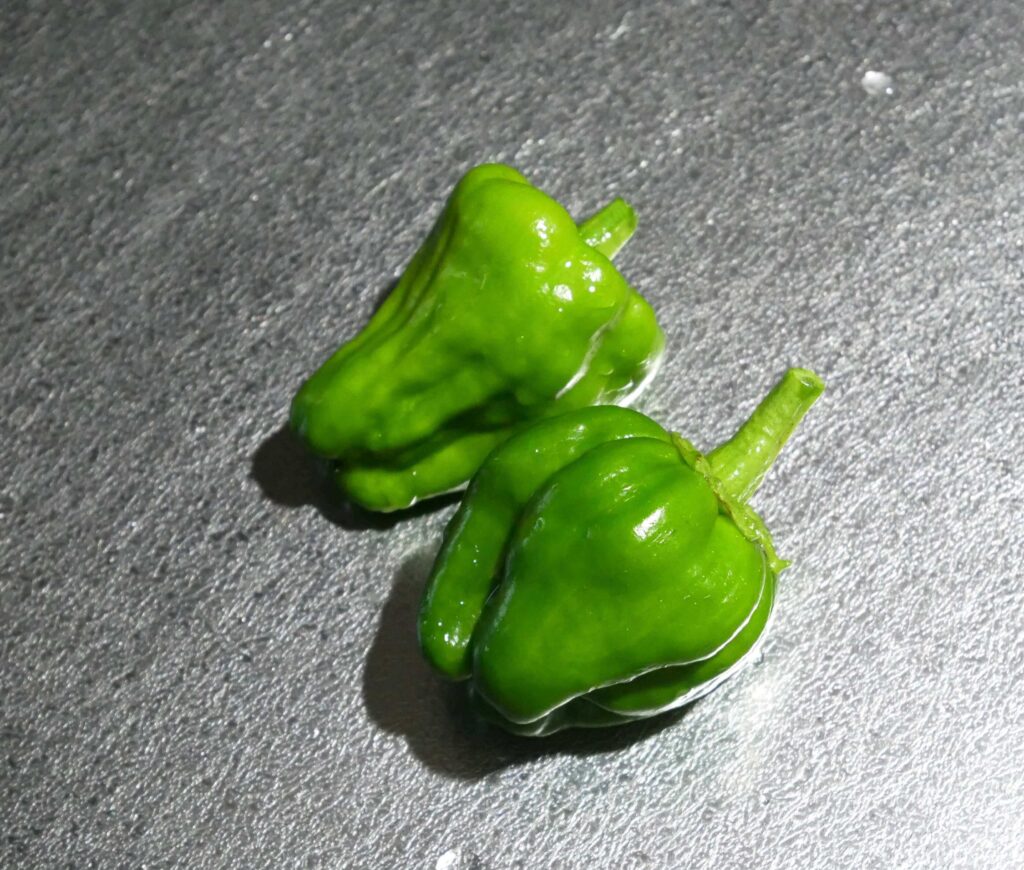green-pepper