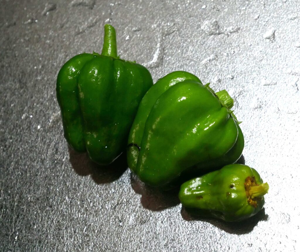 green-pepper