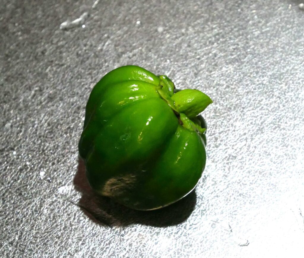 green-pepper