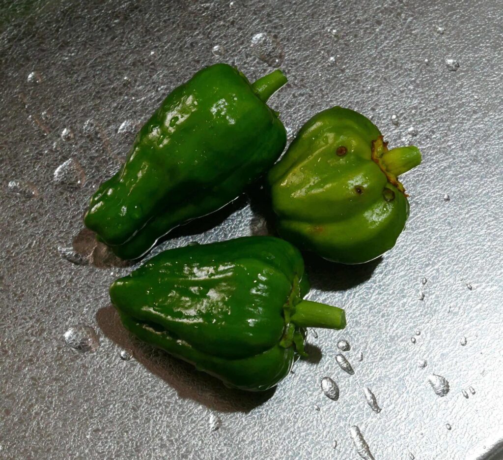 green-pepper