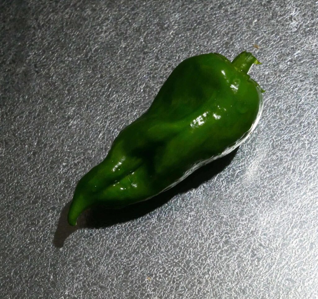 green-pepper