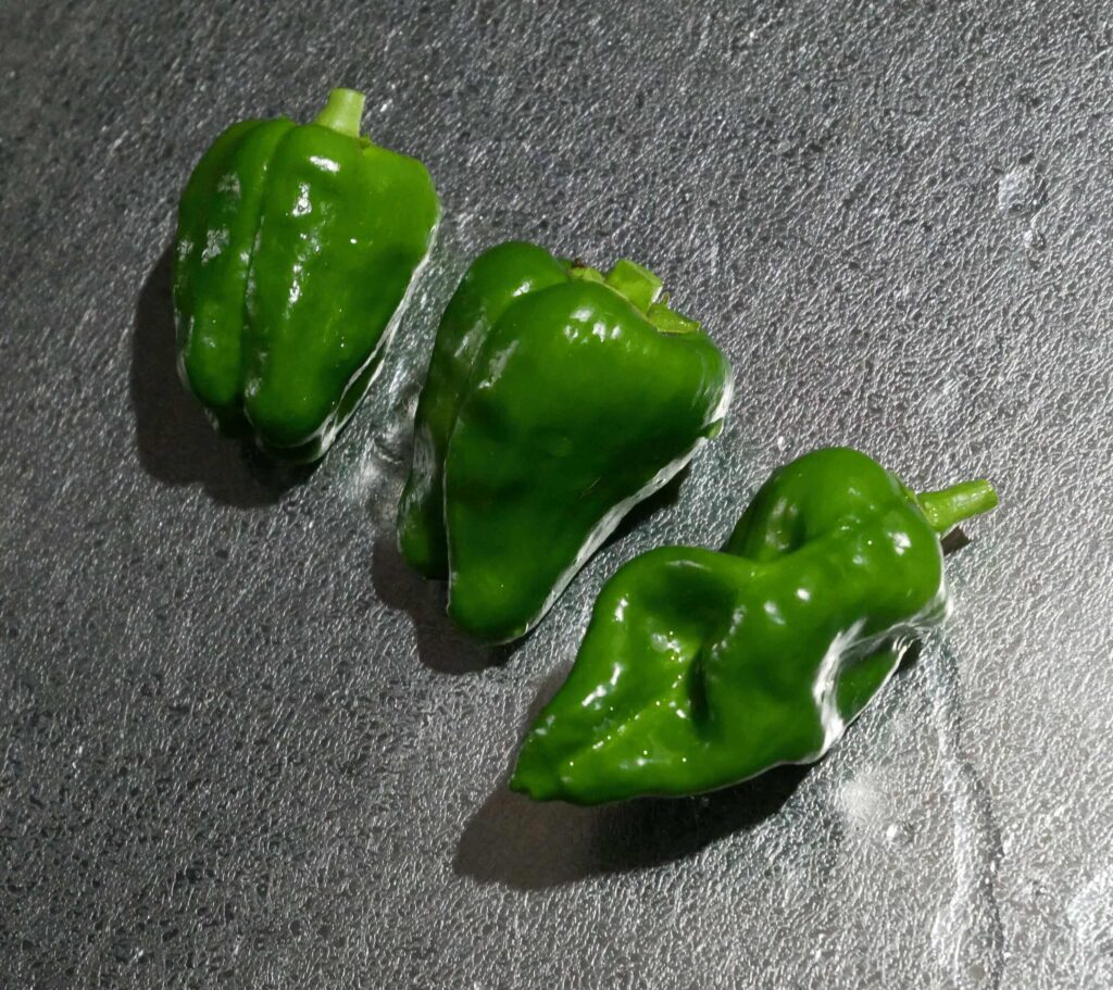 green-pepper