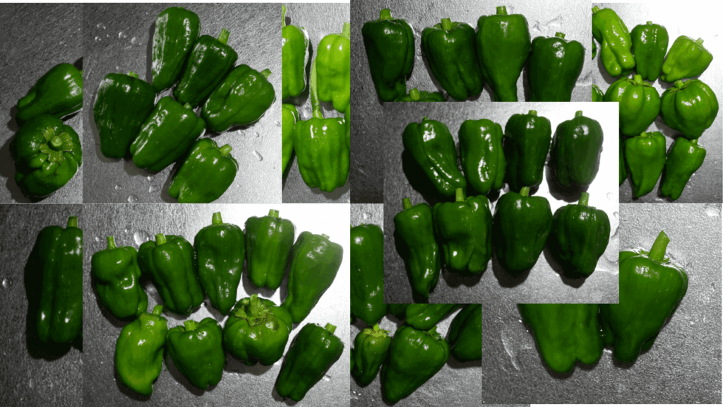 green-pepper