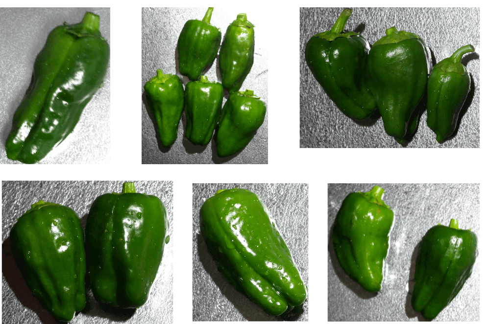 green-pepper