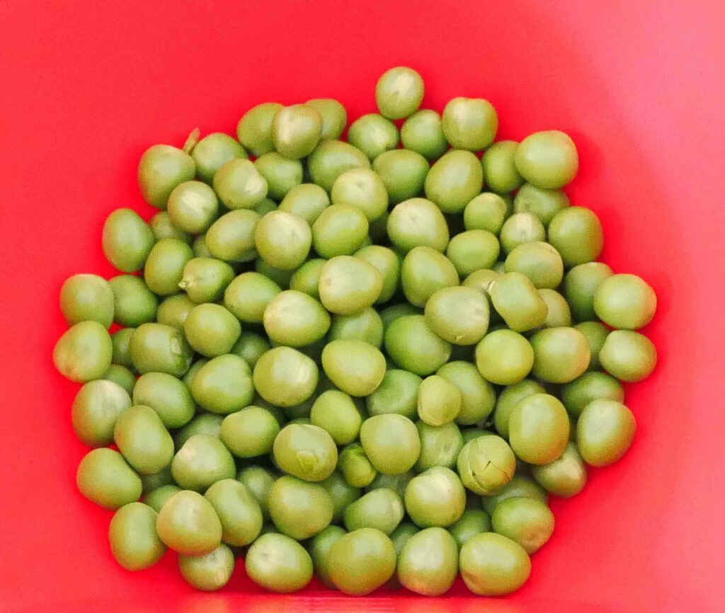 Green-pea-rice
