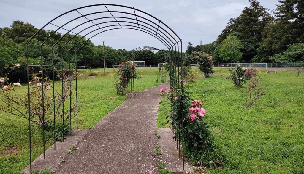Tenjinyama-Park