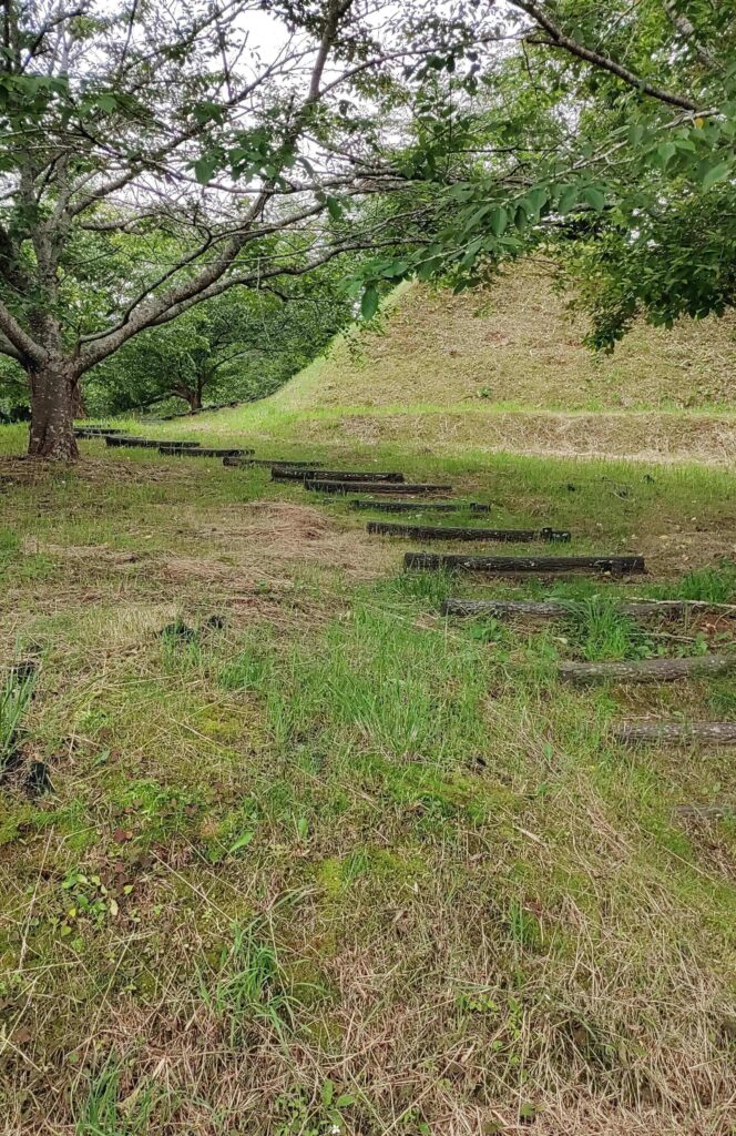 Tenjinyama-Park