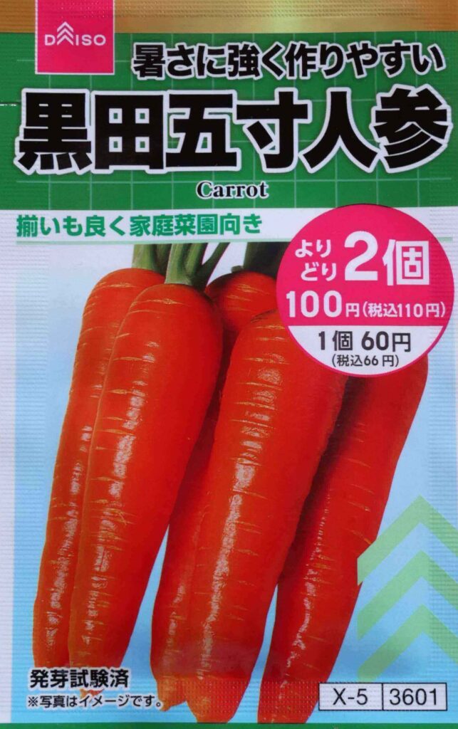 carrot