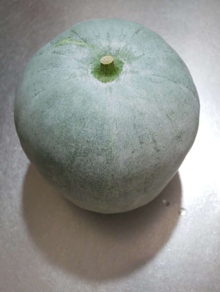 winter-melon-pasta