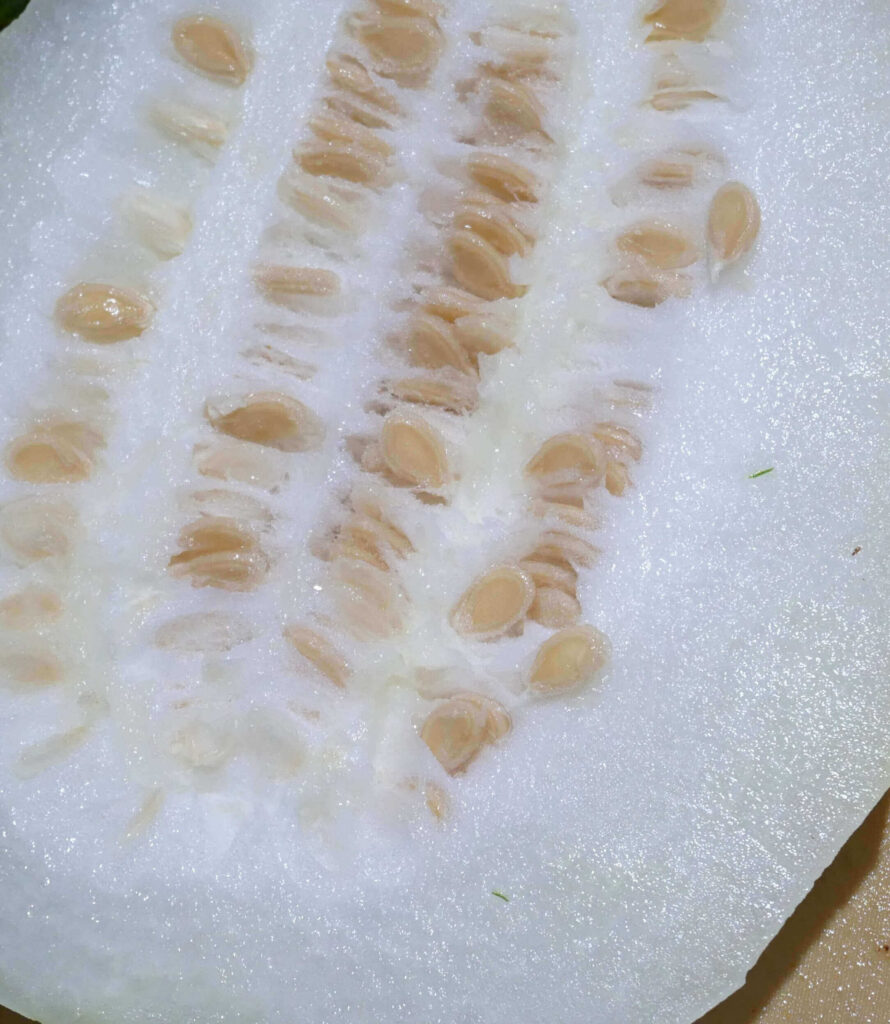 winter-melon-pasta