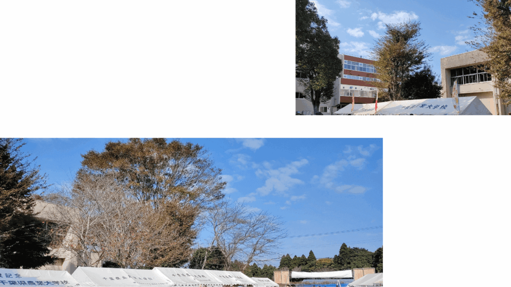 Chiba-Prefectural-Agricultural-College