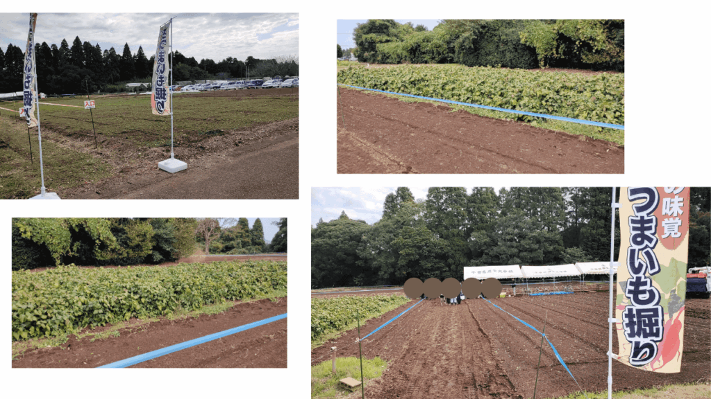 Chiba-Prefectural-Agricultural-College