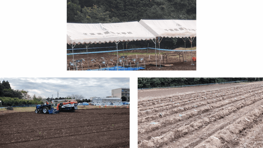 Chiba-Prefectural-Agricultural-College