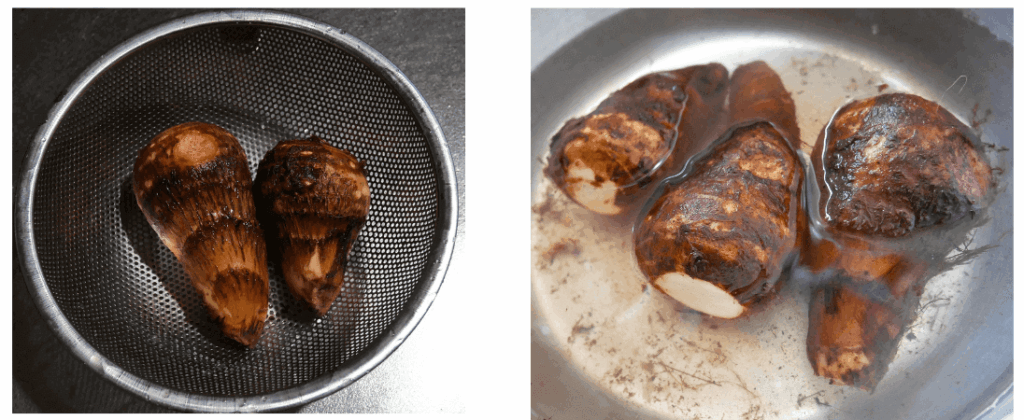 Boiled-taro