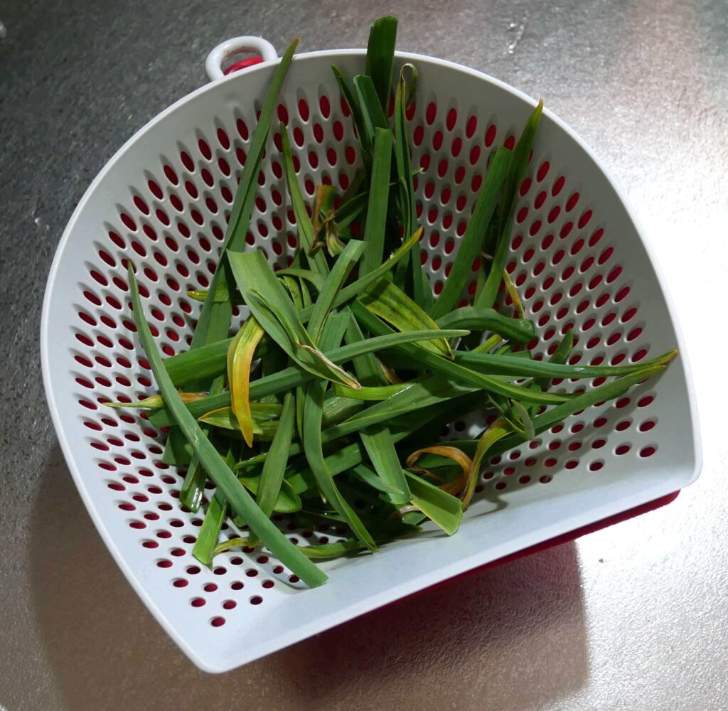 Garlic-flower-stalks-pasta