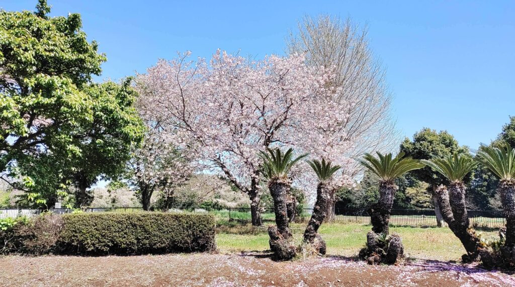 agricultural-training