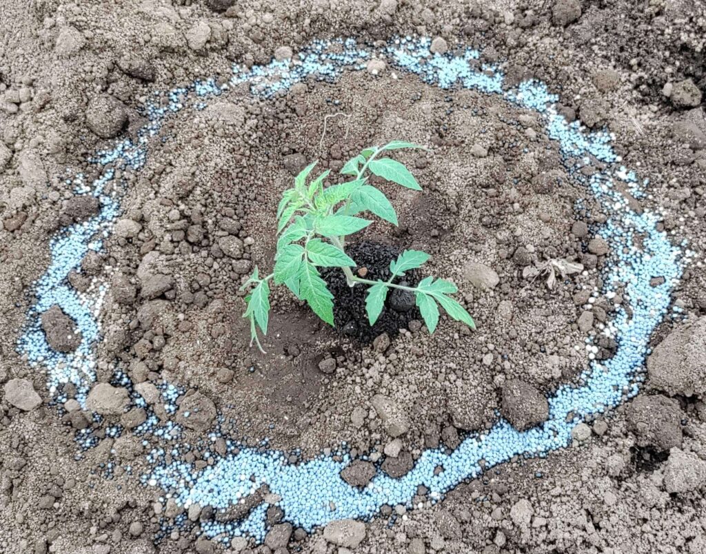 agricultural-training