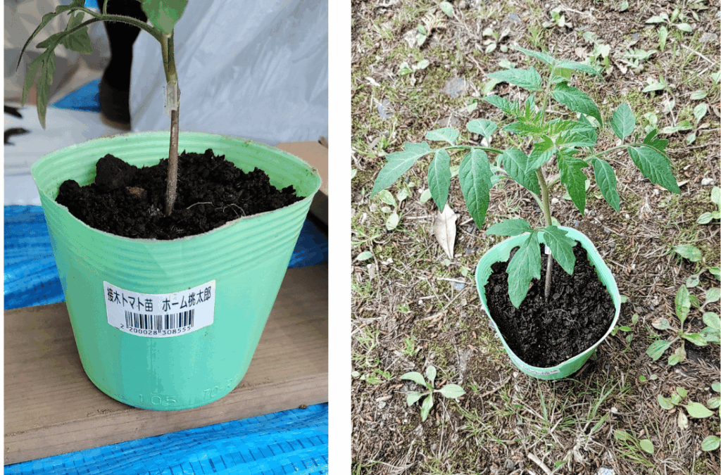 agricultural-training