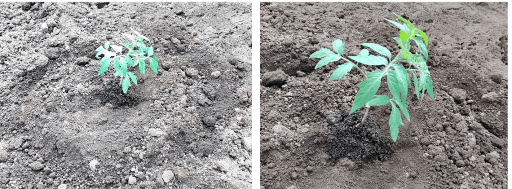 agricultural-training