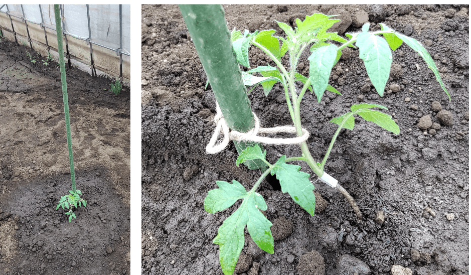 agricultural-training