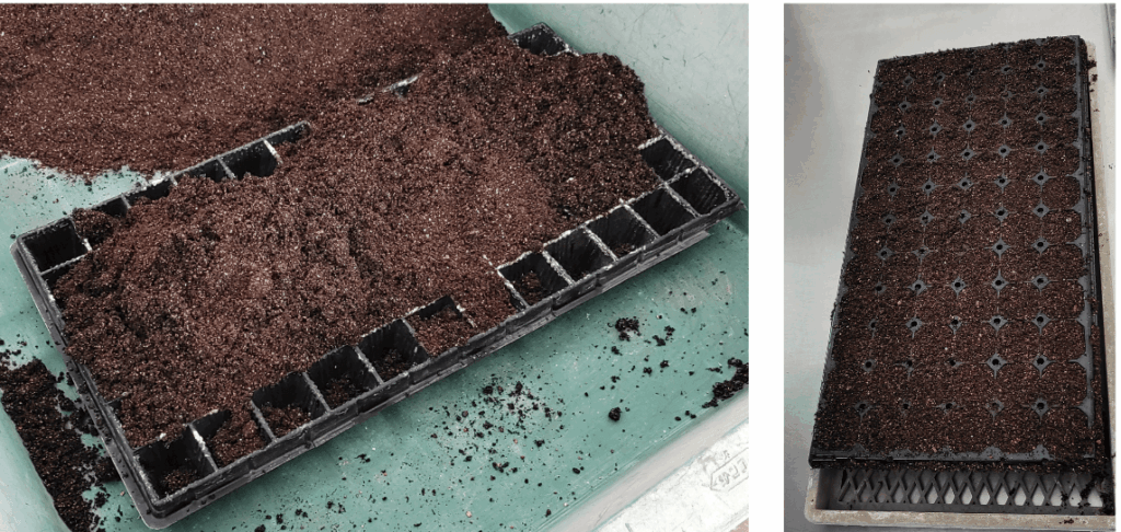 agricultural-training