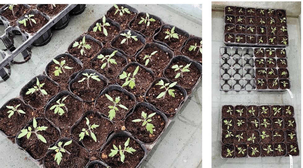 agricultural-training