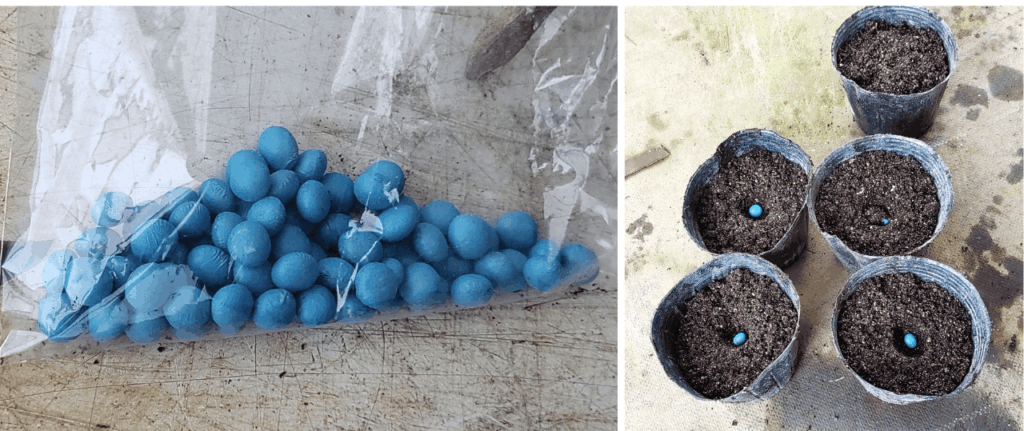 agricultural-training