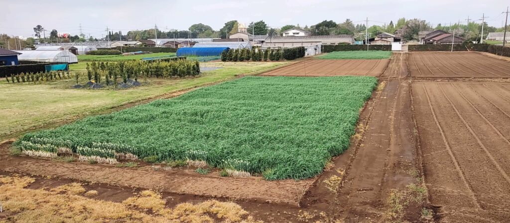 agricultural-training