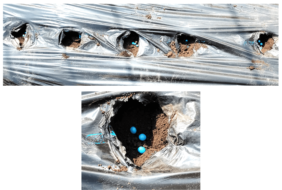 agricultural-training