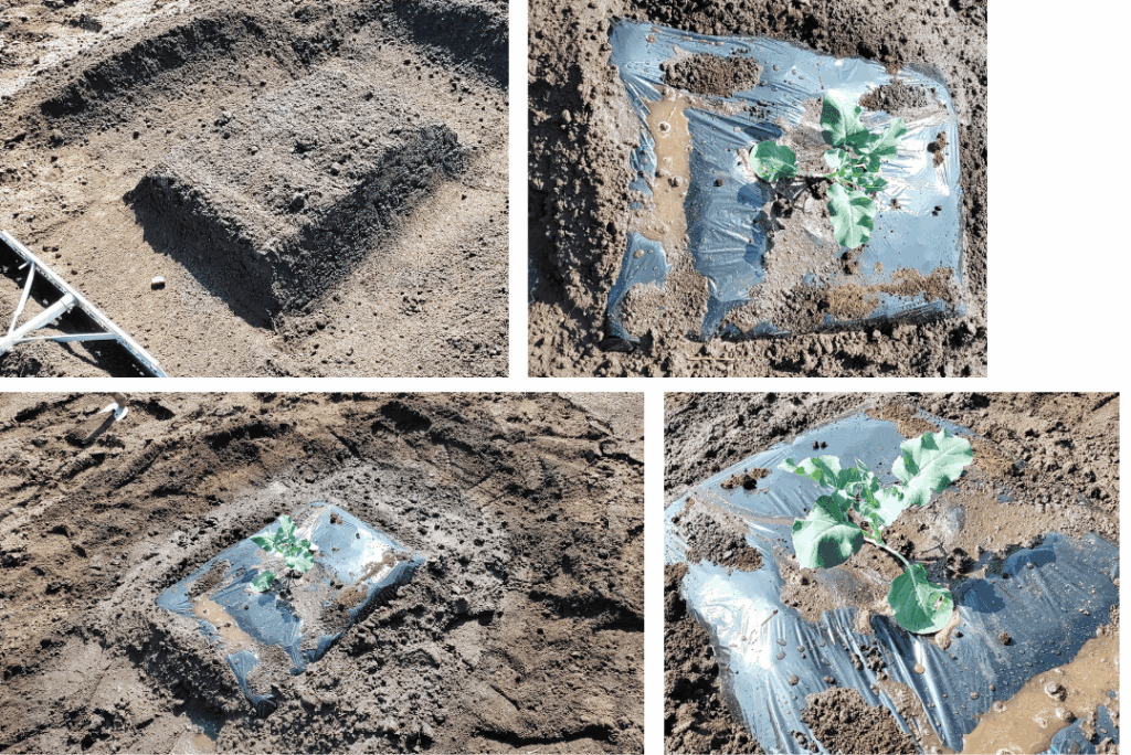 agricultural-training