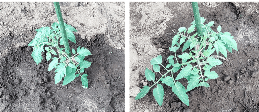 agricultural-training