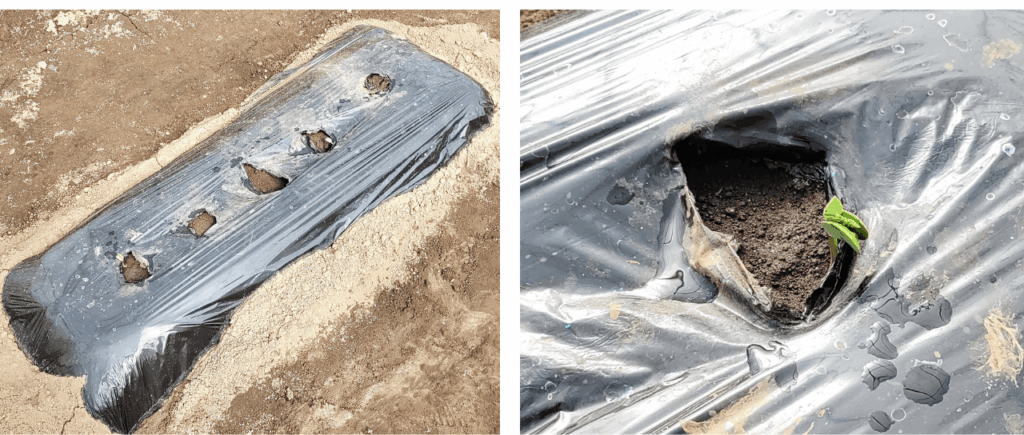 agricultural-training