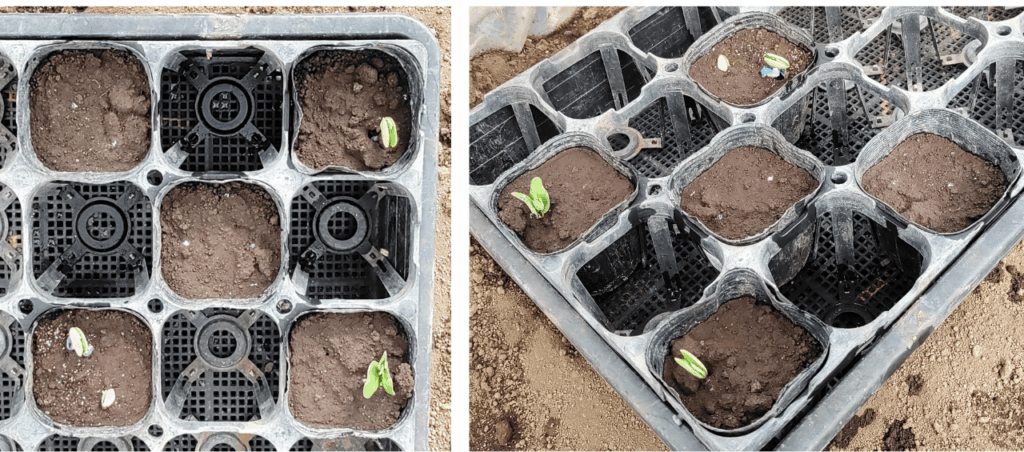 agricultural-training