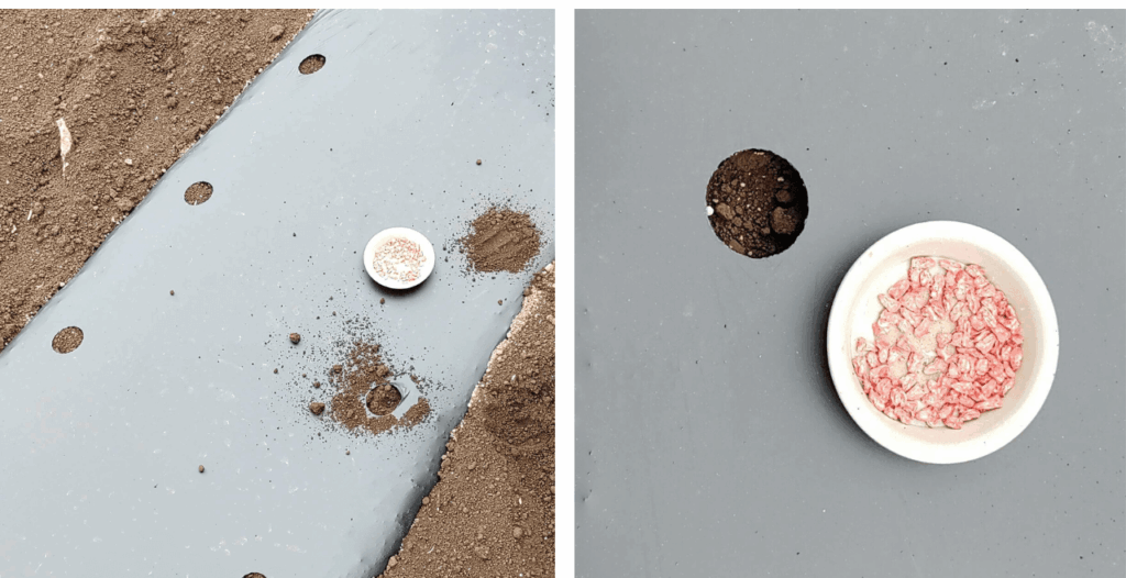 agricultural-training