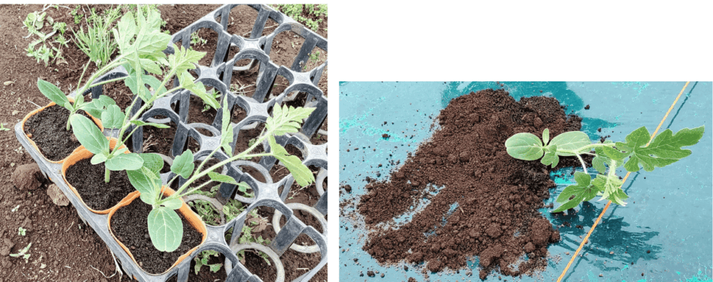 agricultural-training