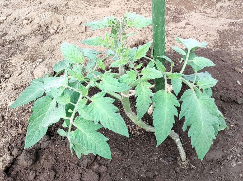 agricultural-training