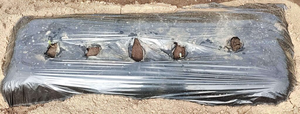 agricultural-training