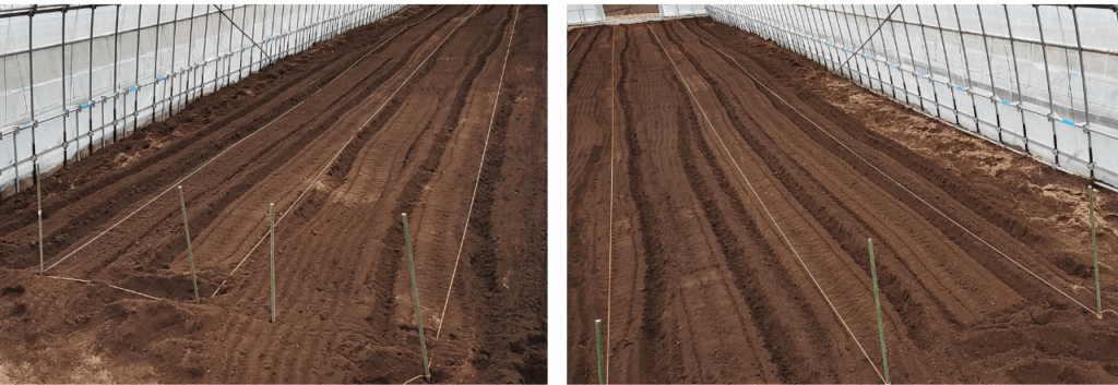 agricultural-training